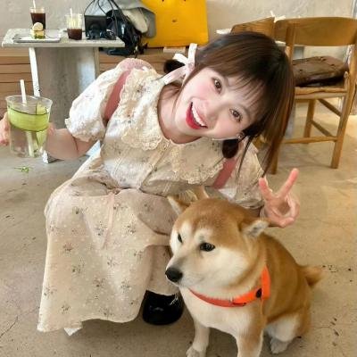 花月佳期电影版